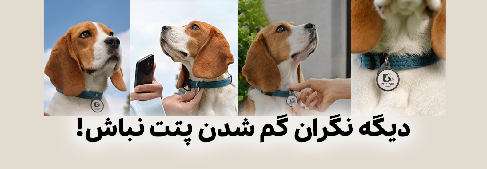 پت تگ